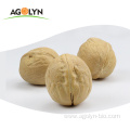 AGOLYN Top Grade Thin-skin Raw Walnuts with shell